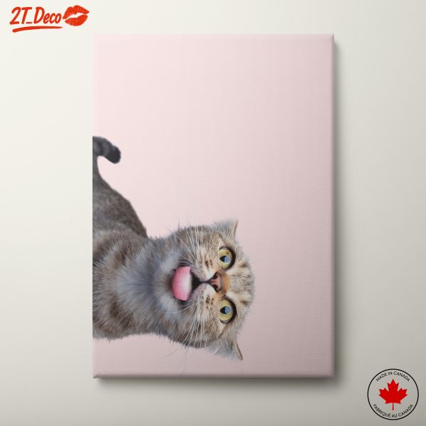 Adorable Cat with Playful Expression