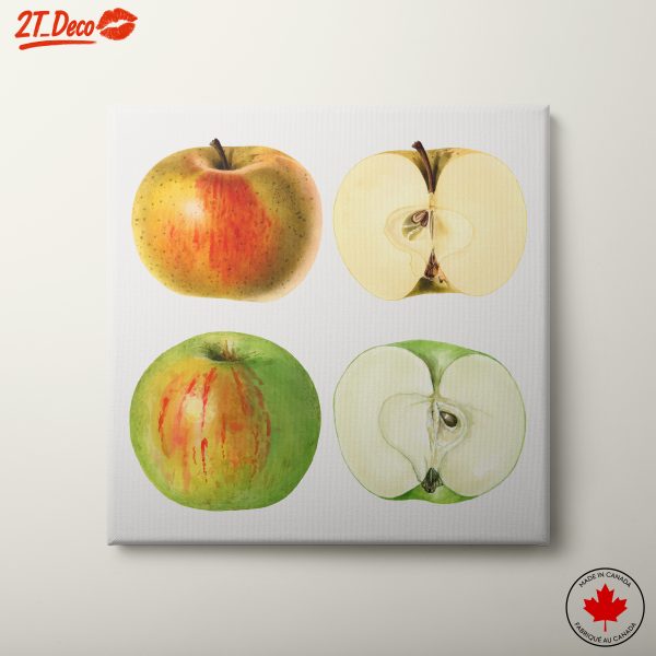 Stylized Apples Collection in Abstract Art