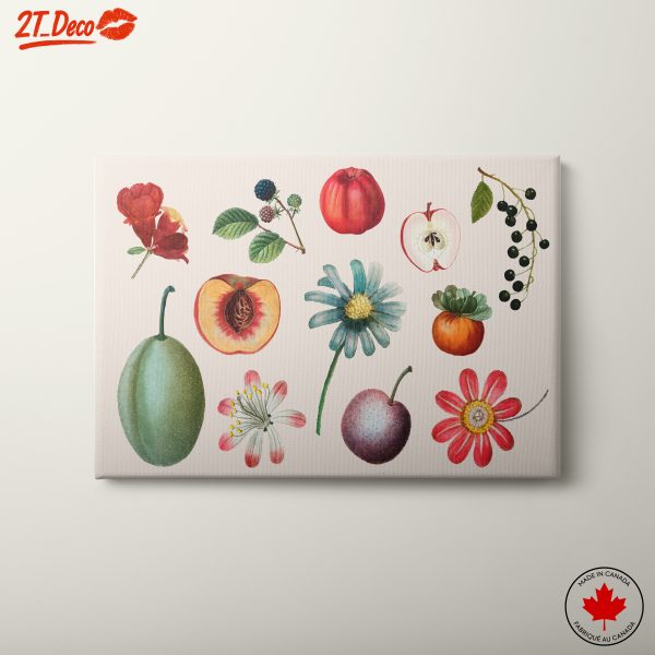 Botanical Illustration of Fruits and Flowers