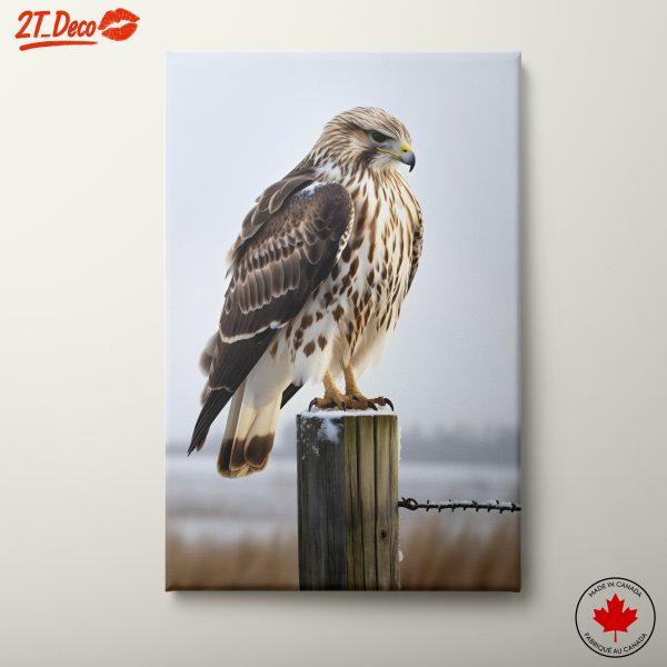 Majestic Bird of Prey on a Perch