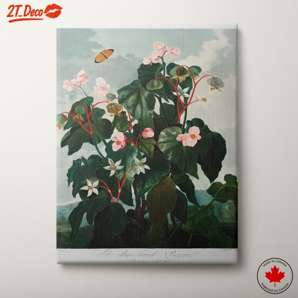 Elegant Botanical Art with Flowers and Butterfly