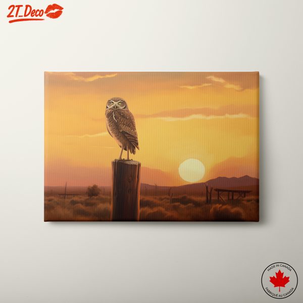 Owl in Sunset Landscape Art
