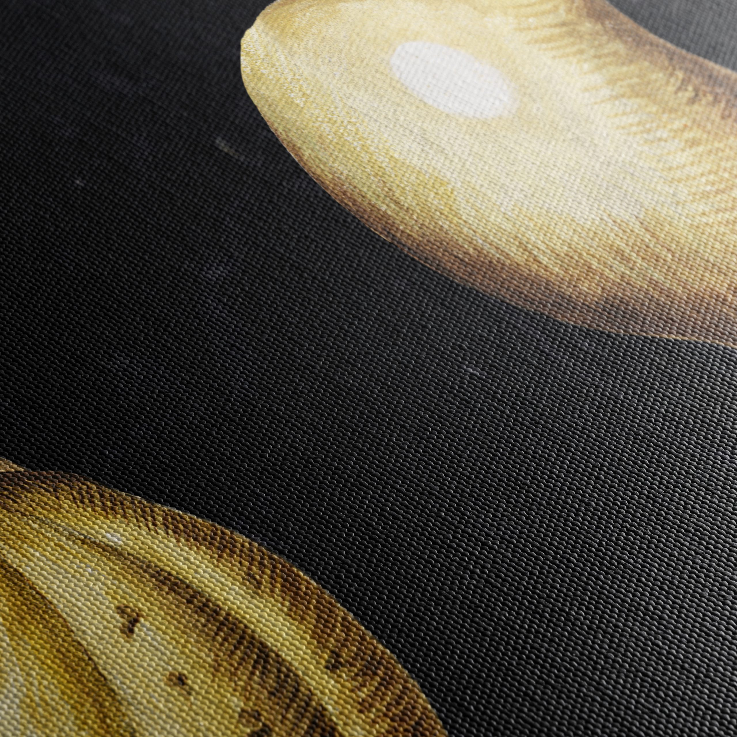 Elegant Abstract Food Composition - Image 5