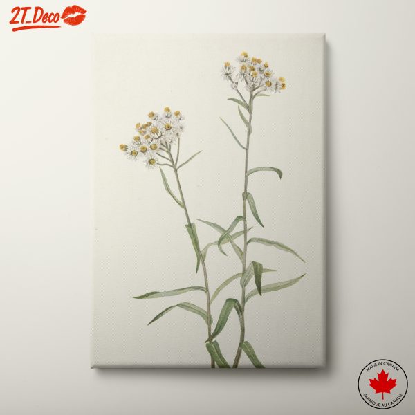 Elegant Botanical Floral Artwork 4
