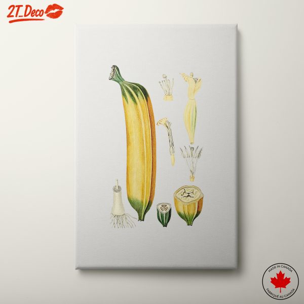 Stylized Zucchini Art for Kitchen Decor