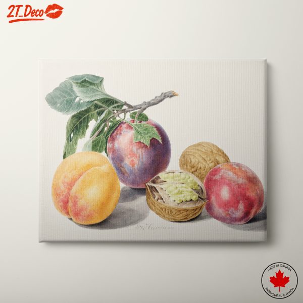 Colorful Still Life with Fruits and Nuts