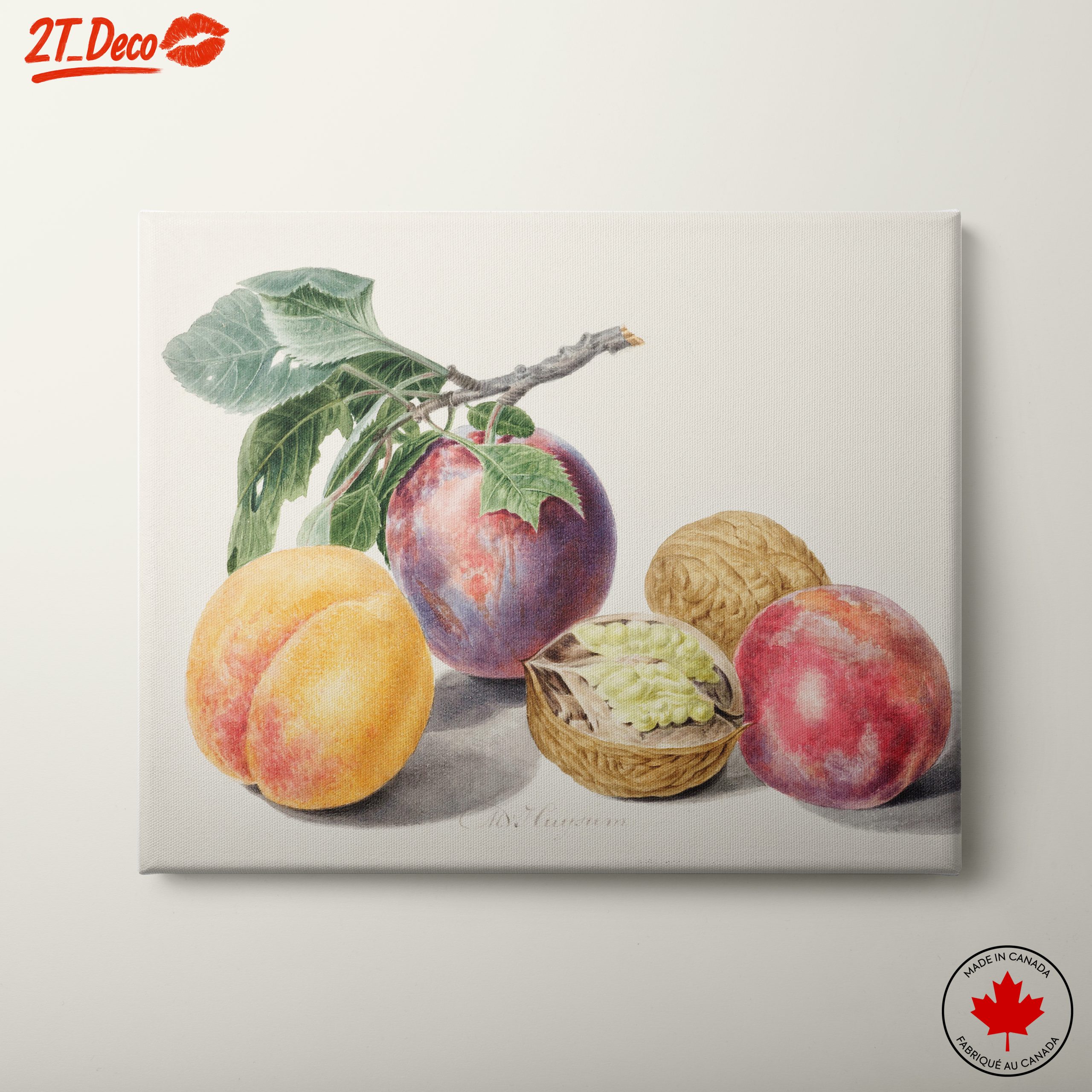 Colorful Still Life with Fruits and Nuts