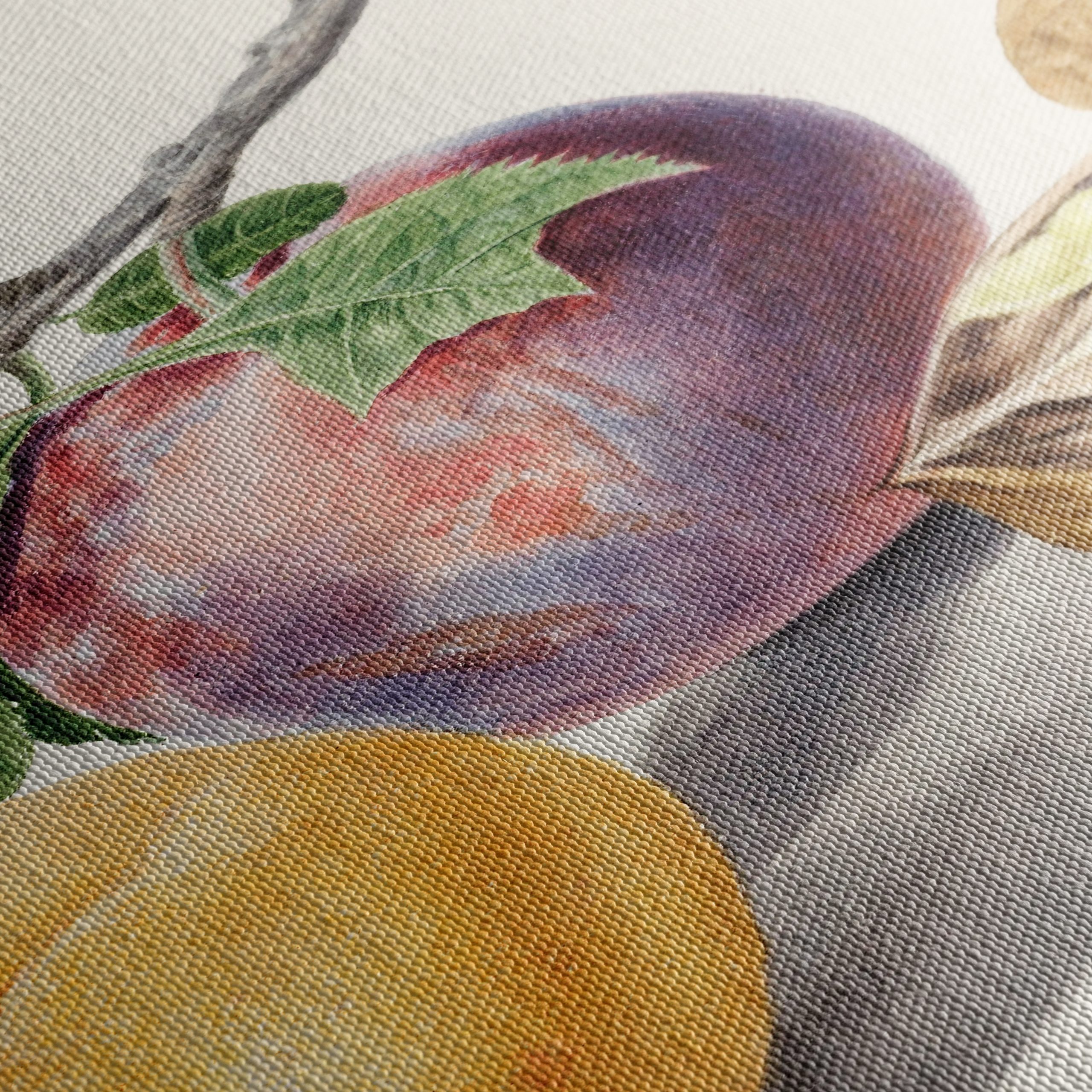 Colorful Still Life with Fruits and Nuts - Image 5