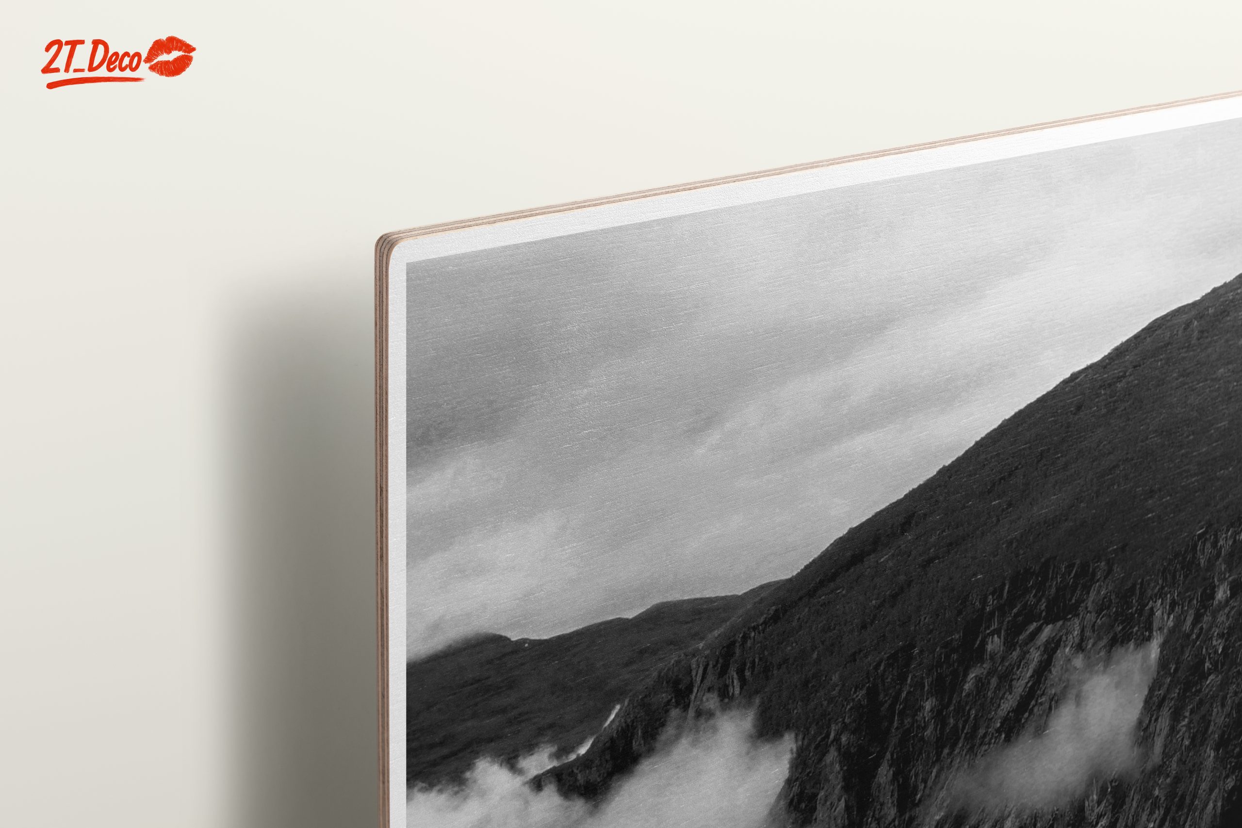 Misty Mountain Landscape in Black and White - Image 15