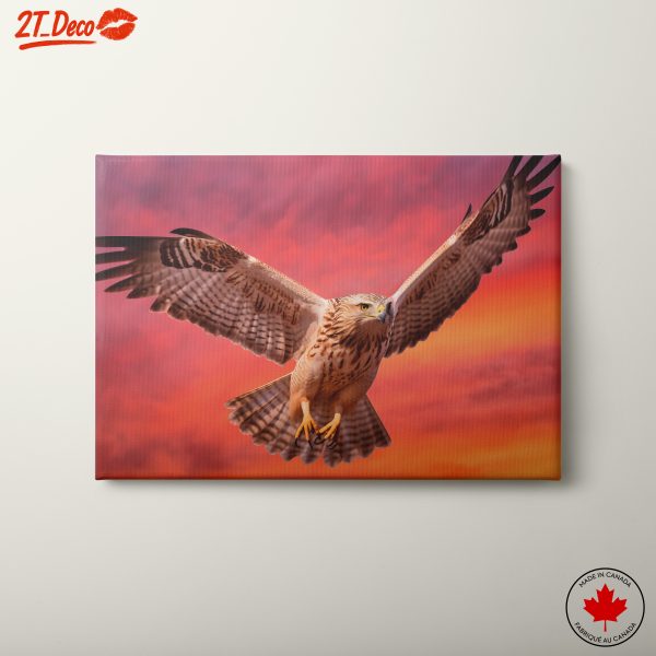 Majestic Hawk in Sunset Sky