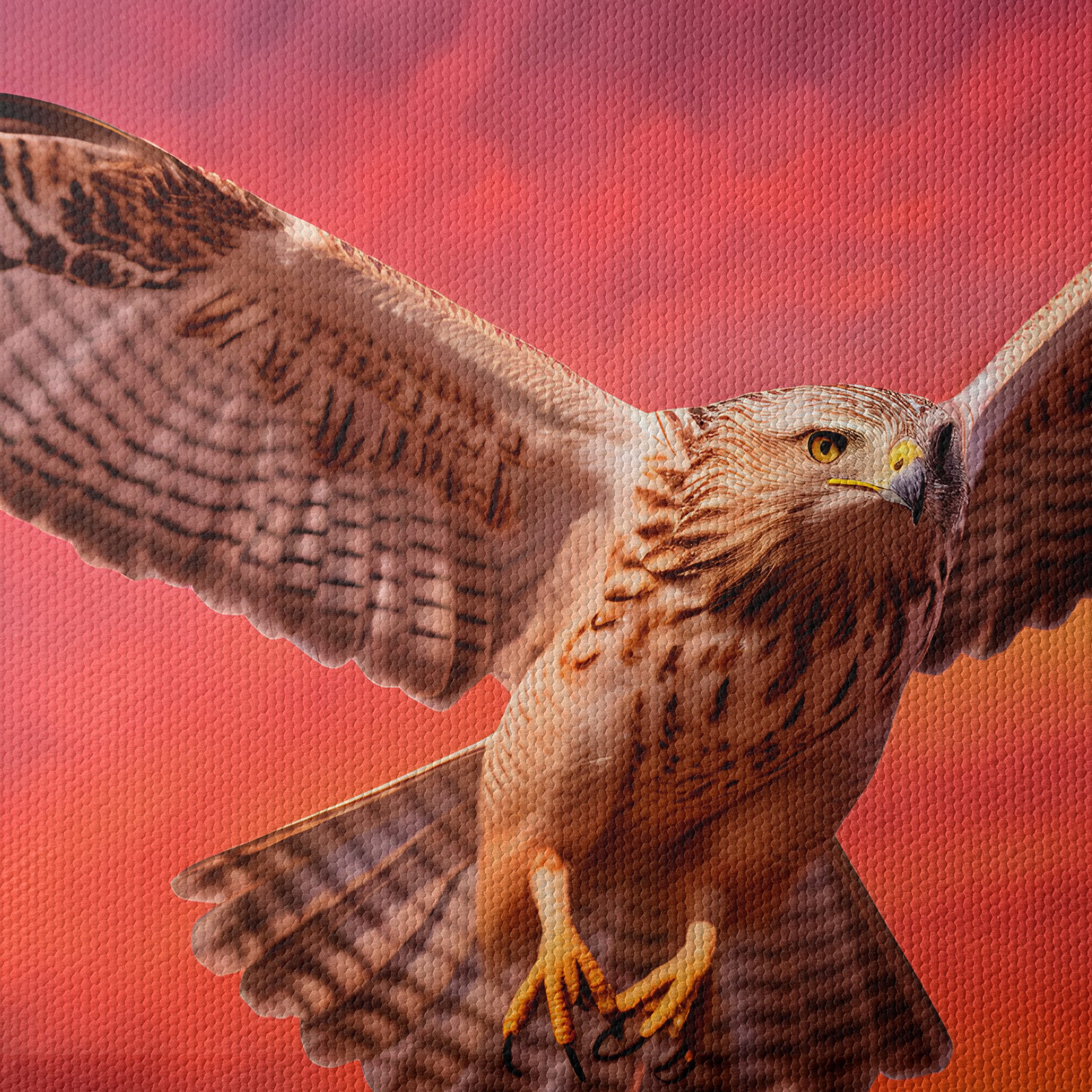 Majestic Hawk in Sunset Sky - Image 4