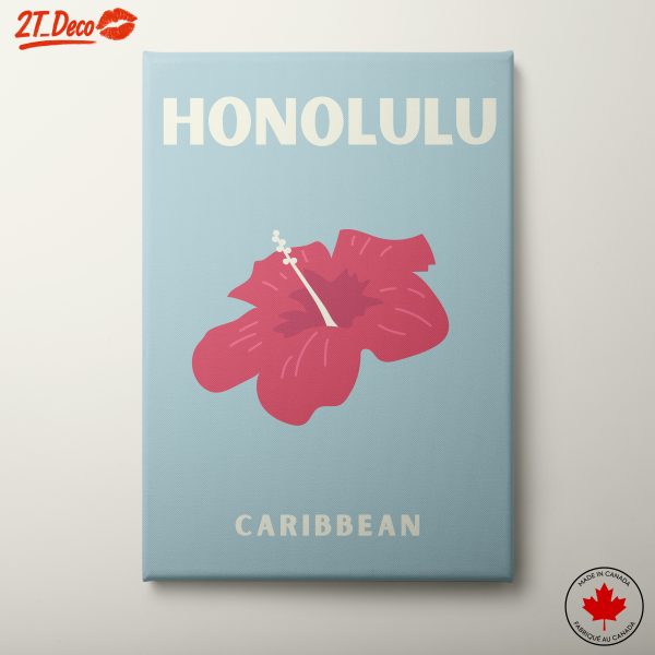Hibiscus Art from Honolulu