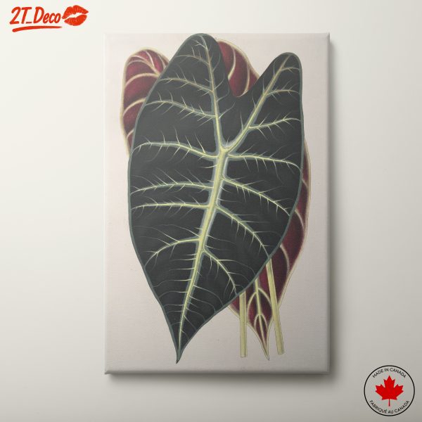Stunning Botanical Art of Leaf Detail