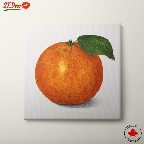 Abstract Artwork of an Orange