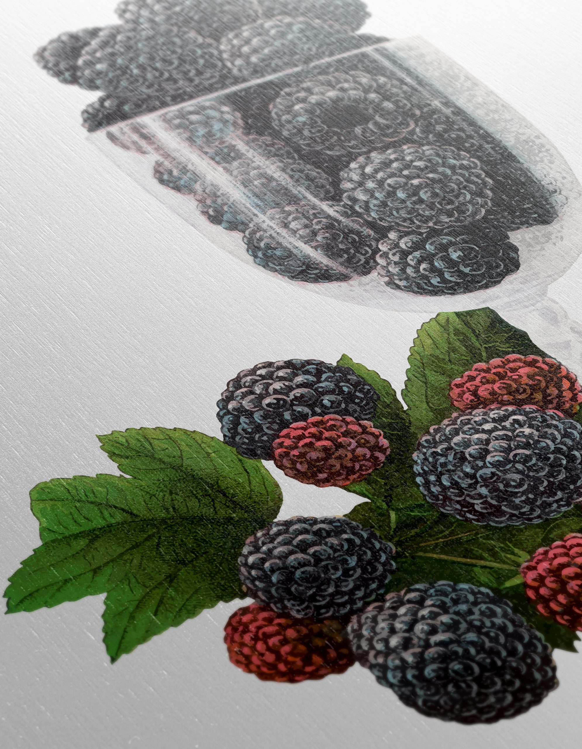 Blackberry Composition in Glass - Image 12