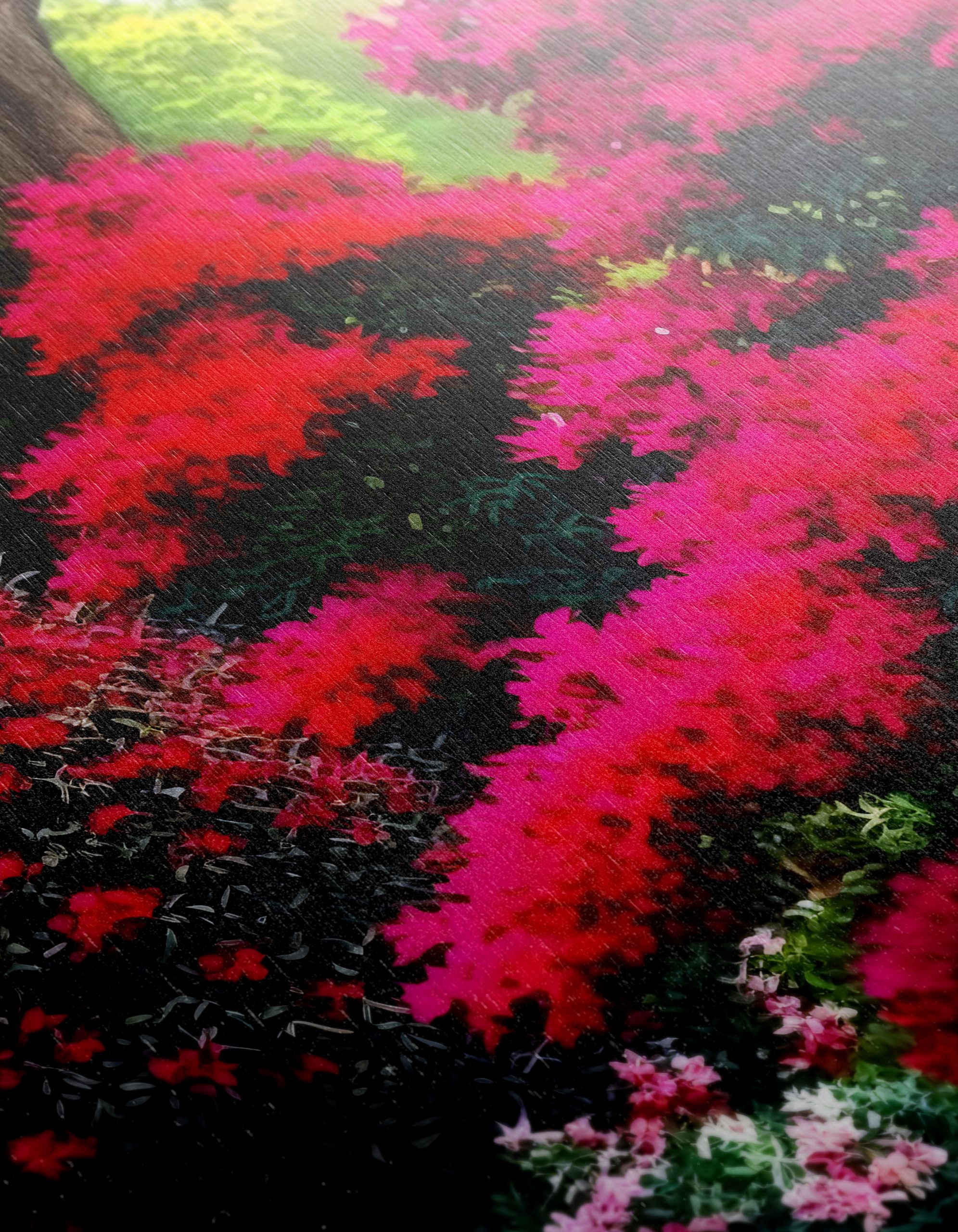Vibrant Garden with Blooming Flowers - Image 12