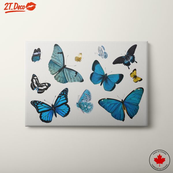 Colorful Butterfly Collection