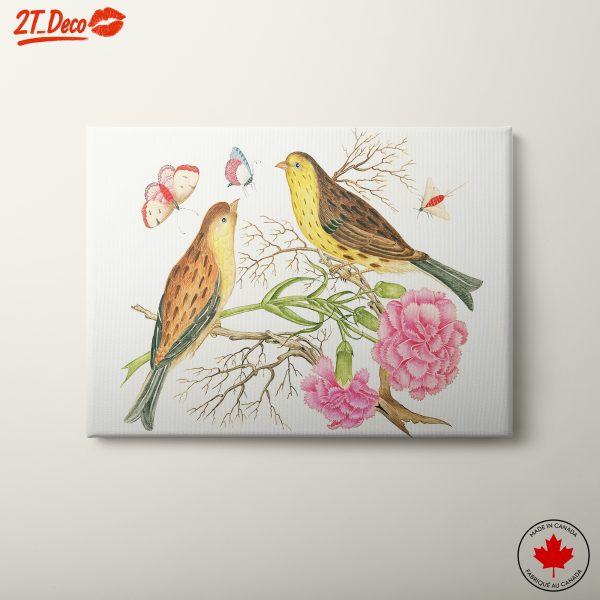 Birds and Flowers Botanical Artwork