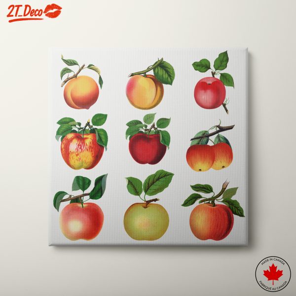 Colorful Abstract Fruit Illustrations
