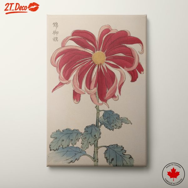 Vibrant Red Chrysanthemum Botanical Art