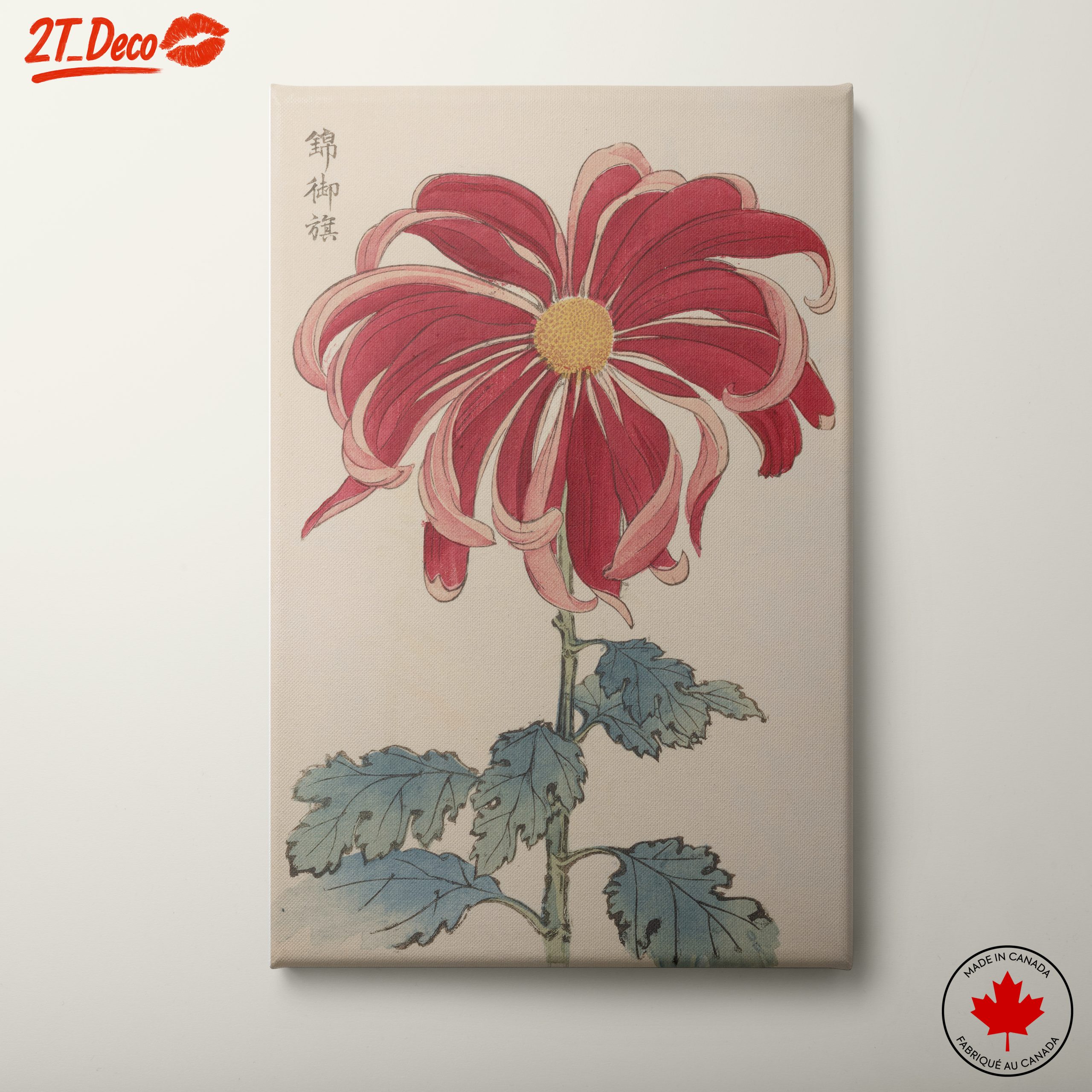 Vibrant Red Chrysanthemum Botanical Art