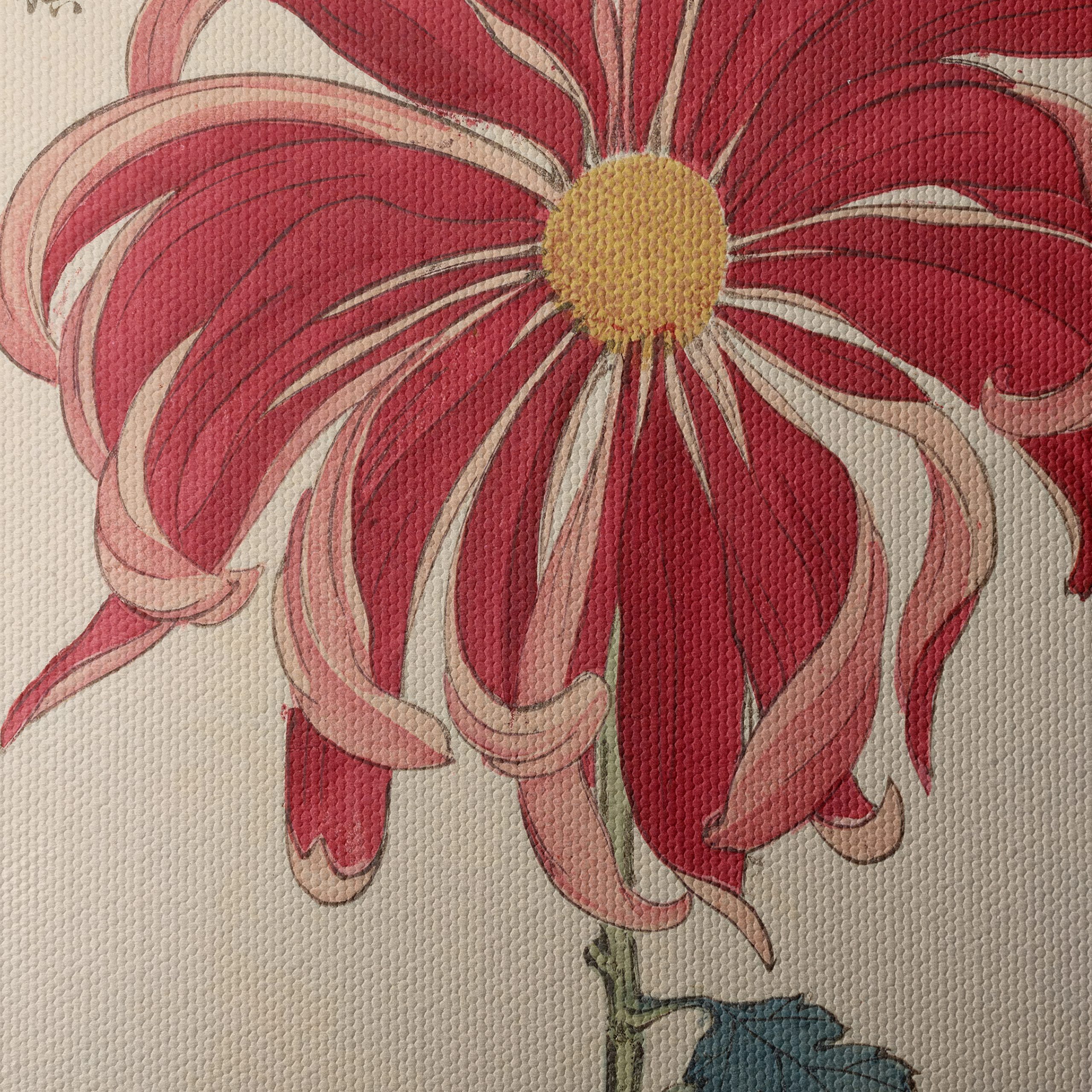 Vibrant Red Chrysanthemum Botanical Art - Image 4