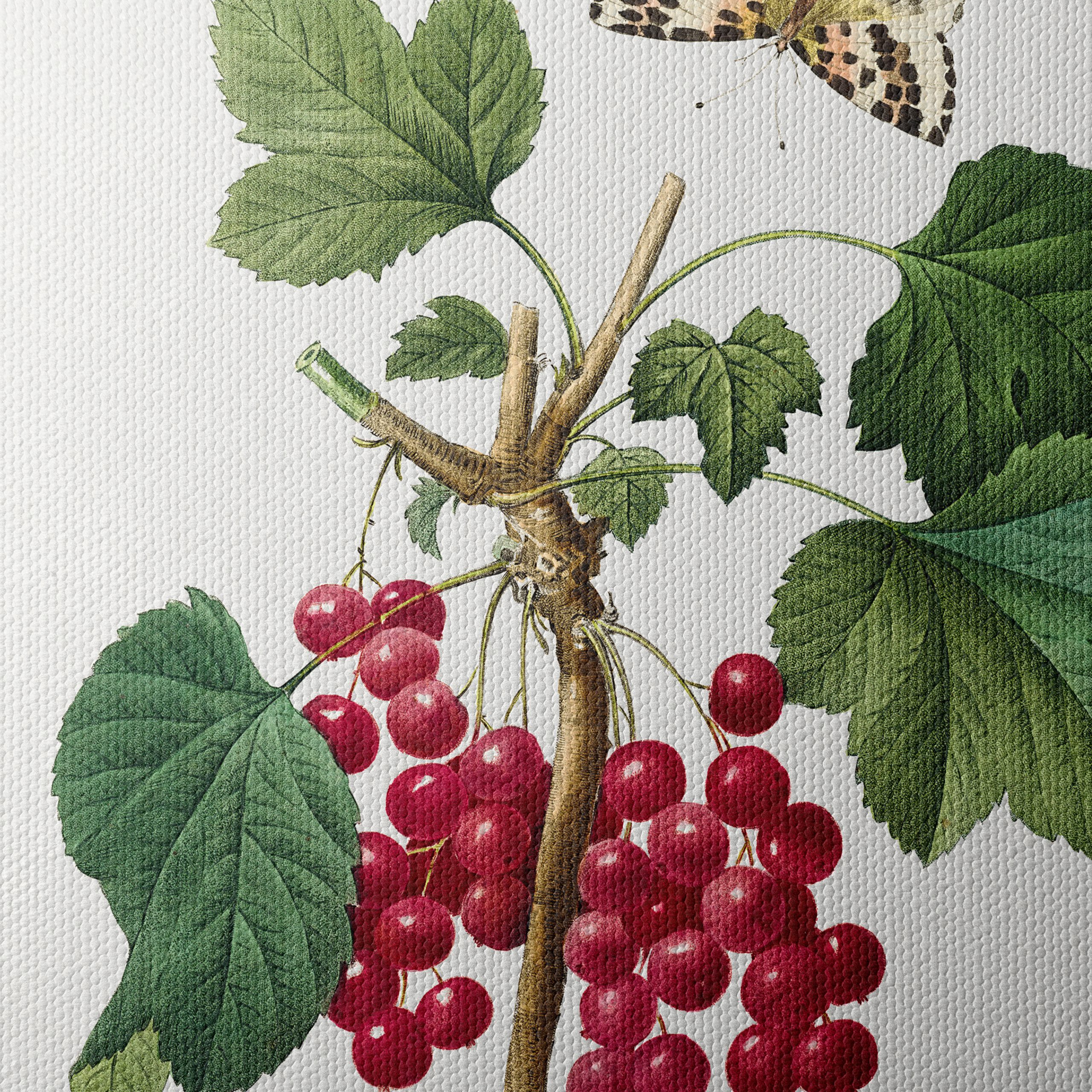 Red Currants and Butterfly Botanical Art - Image 4