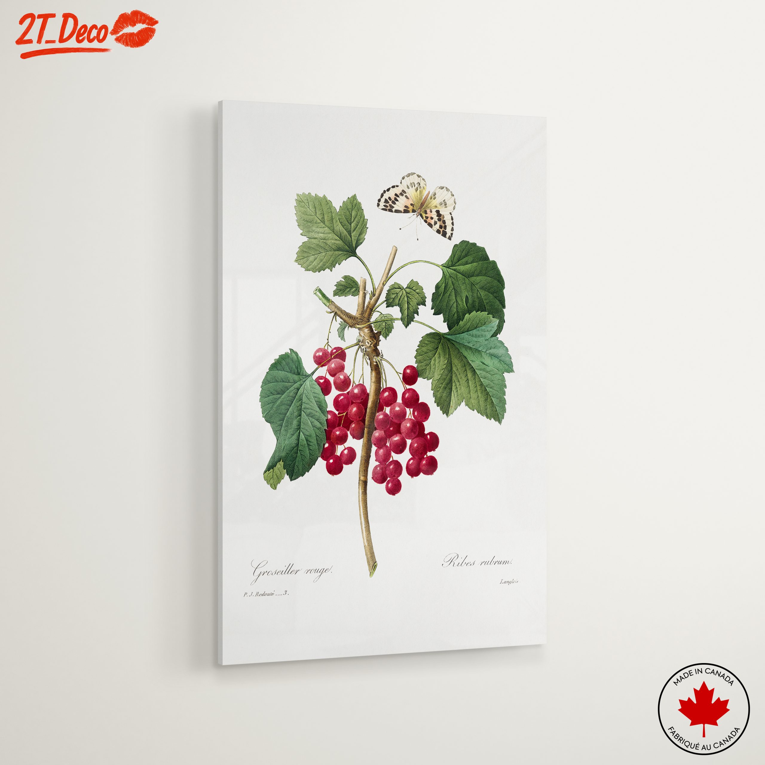Red Currants and Butterfly Botanical Art - Image 6