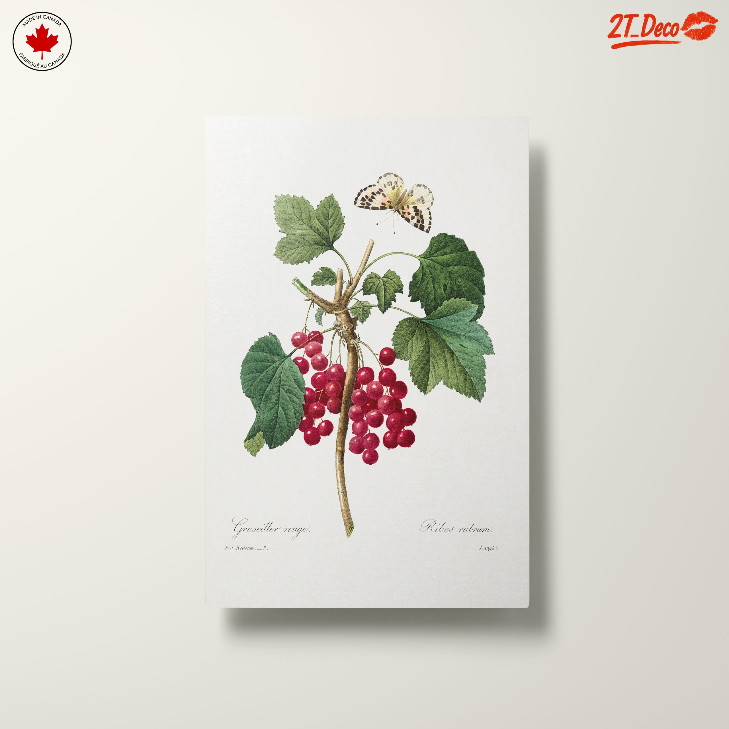 Red Currants and Butterfly Botanical Art - Image 10