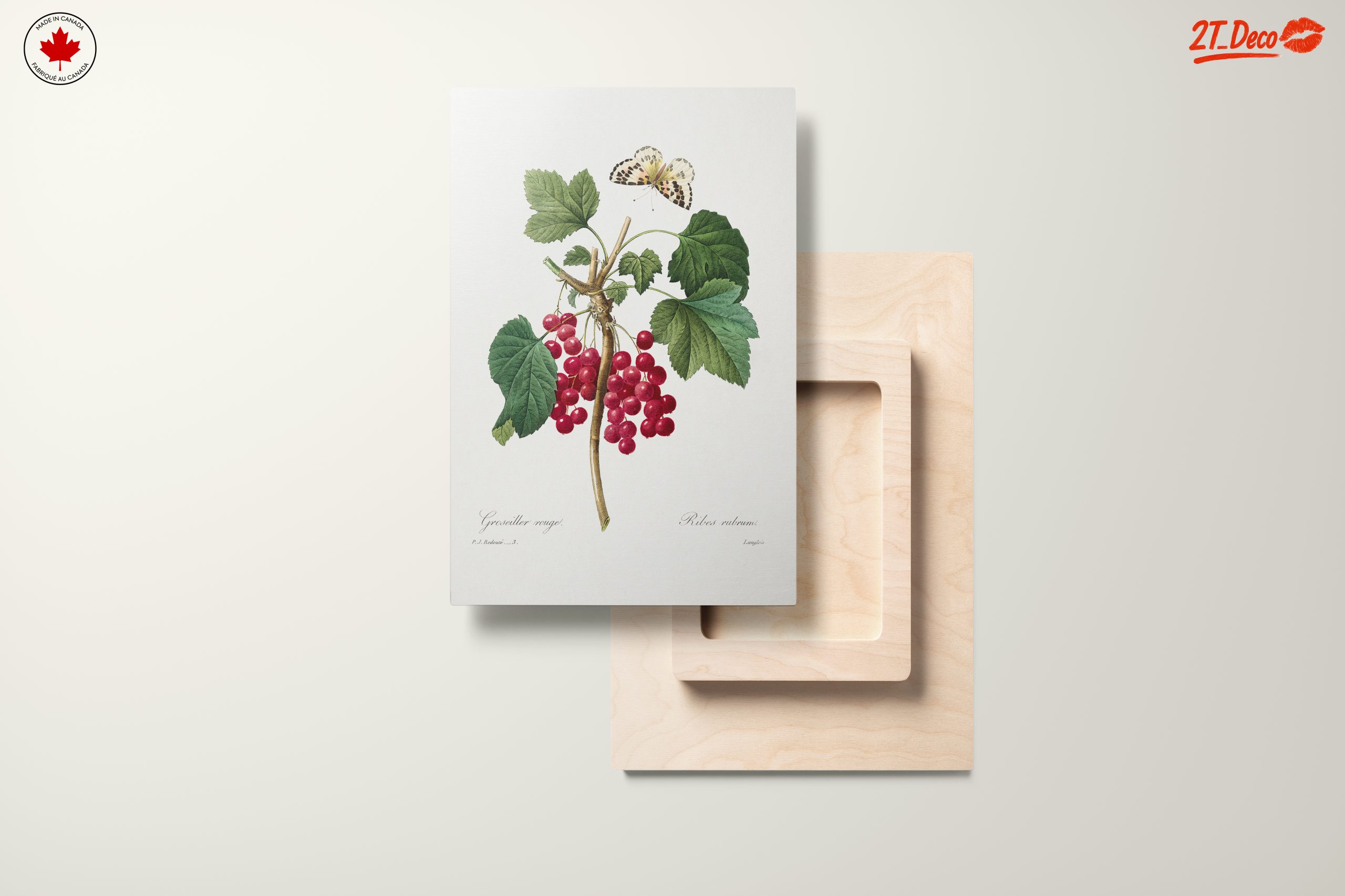Red Currants and Butterfly Botanical Art - Image 11