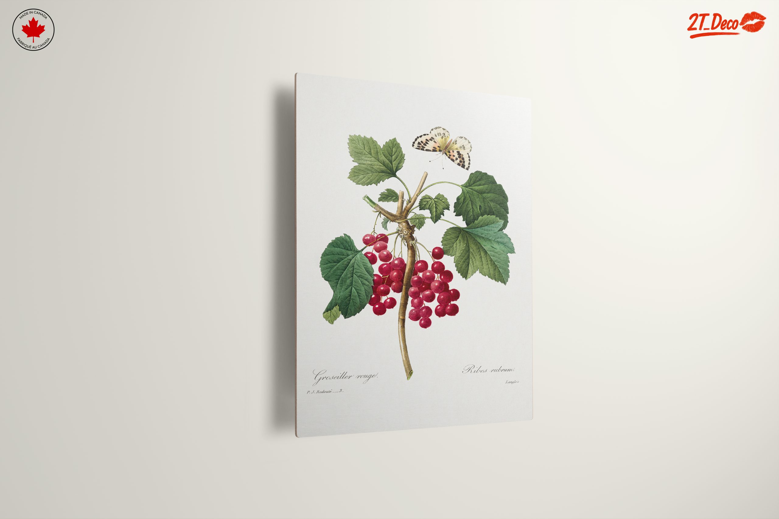 Red Currants and Butterfly Botanical Art - Image 13