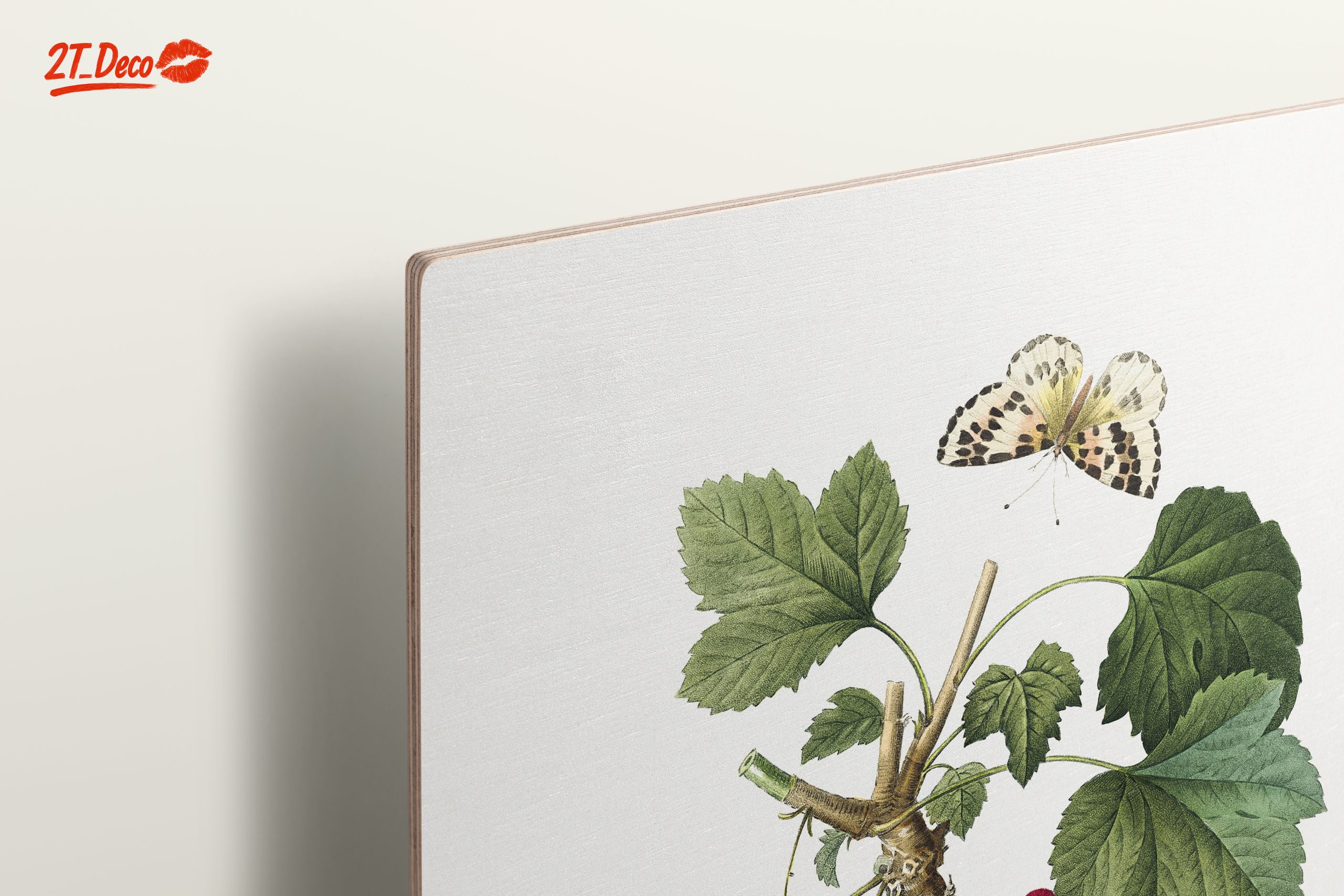 Red Currants and Butterfly Botanical Art - Image 15