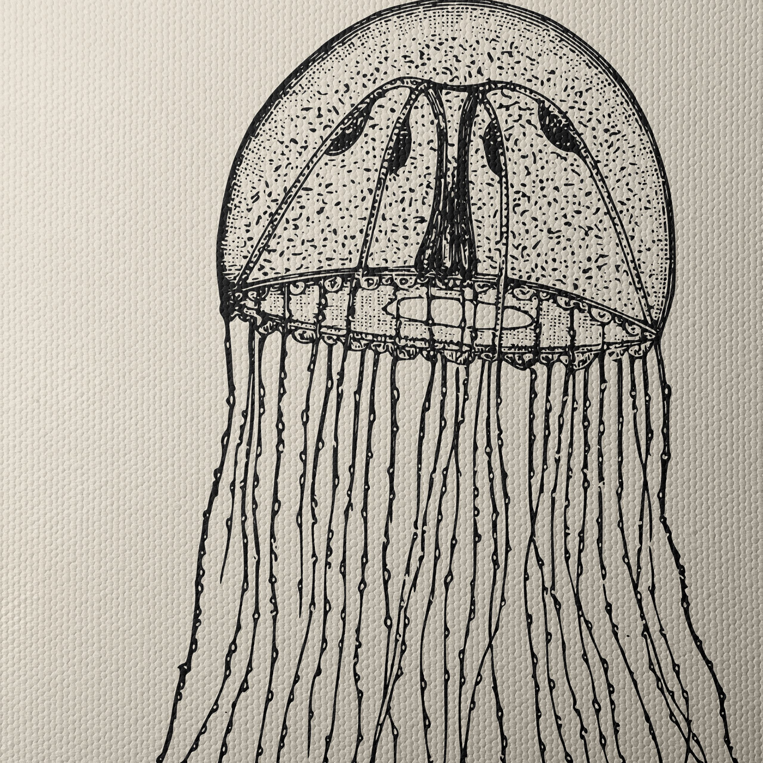 Intricate Jellyfish Anatomical Art - Image 4