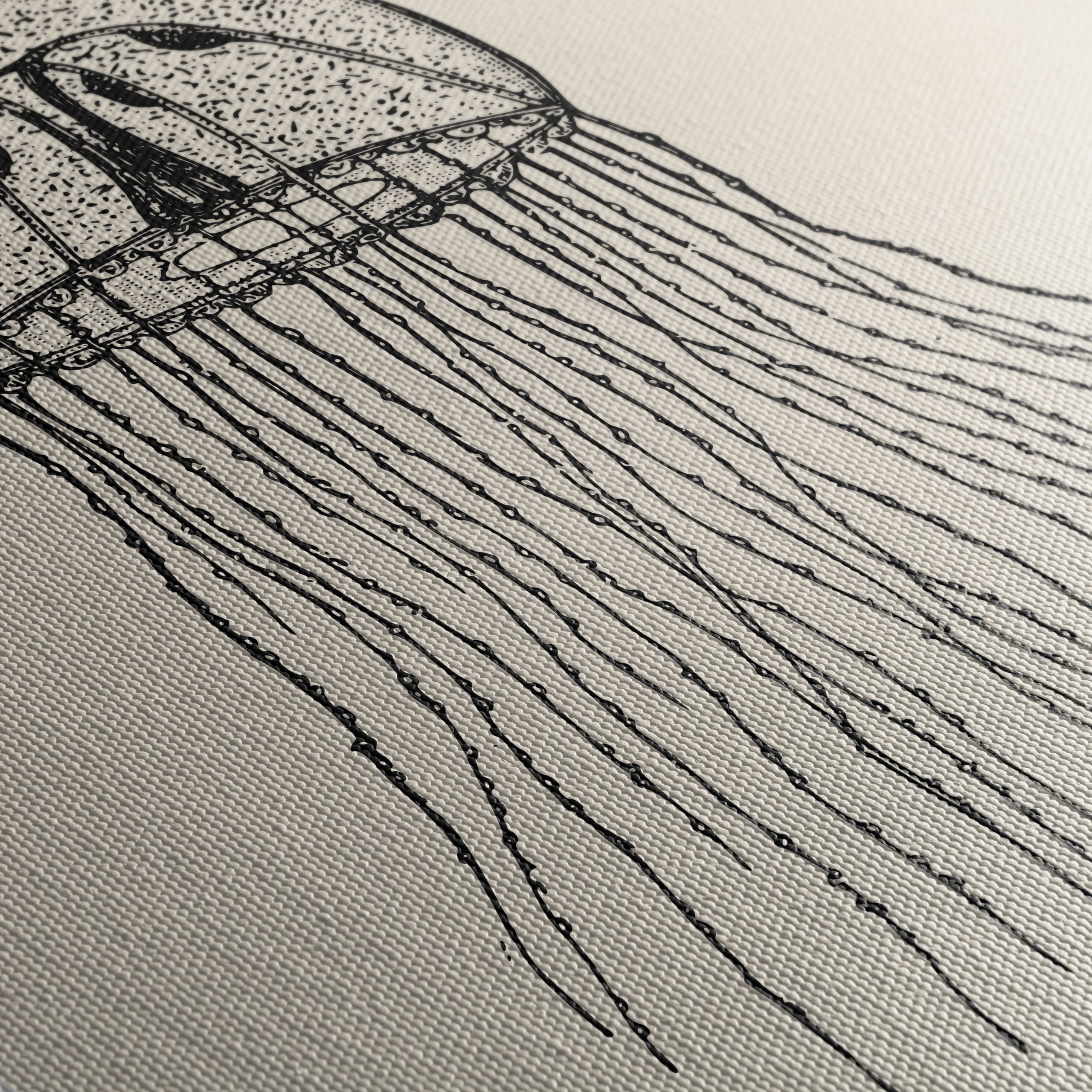 Intricate Jellyfish Anatomical Art - Image 5