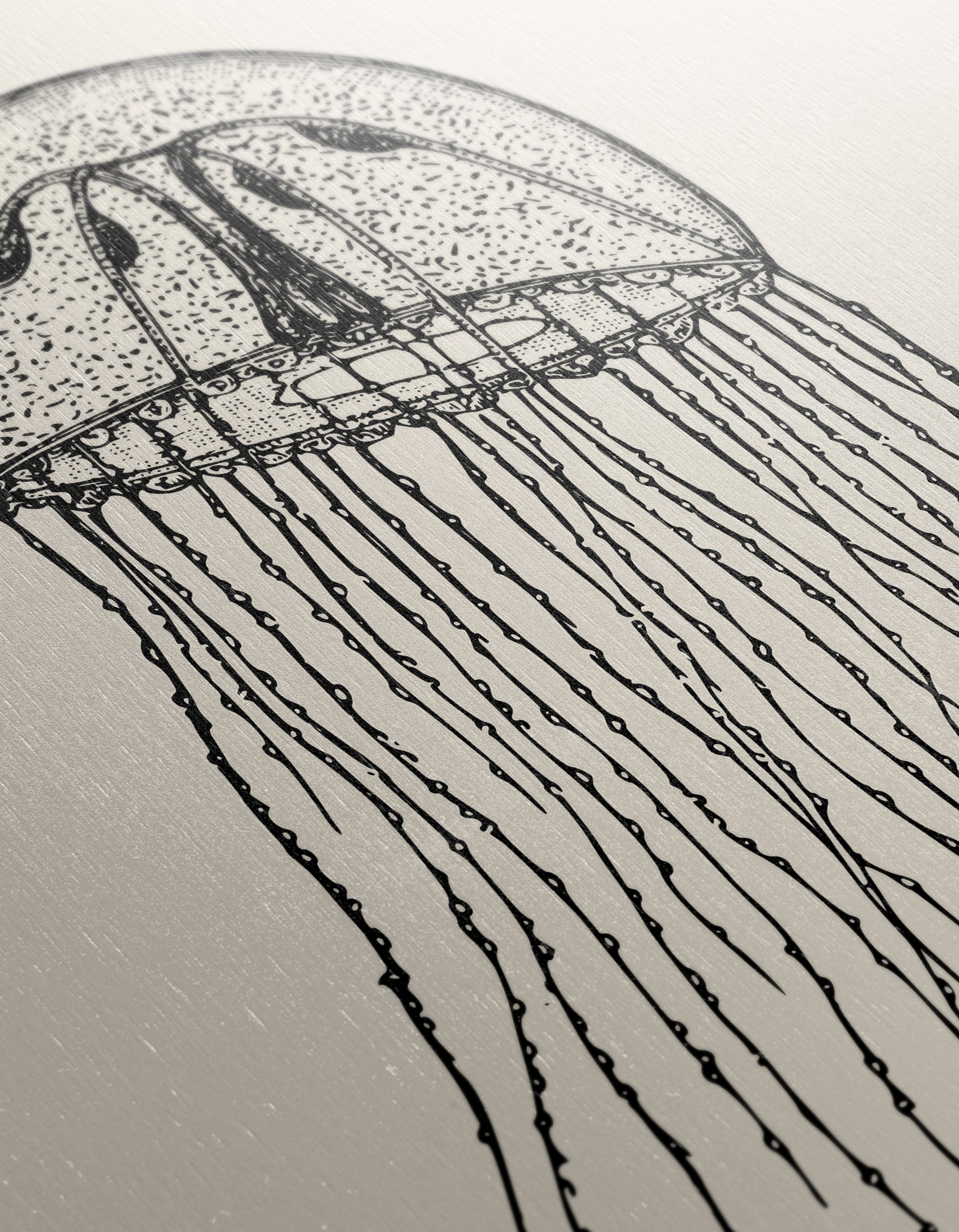Intricate Jellyfish Anatomical Art - Image 12