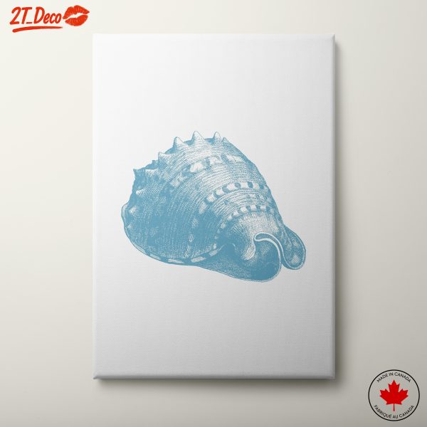 Abstract Shell Illustration in Soft Blue