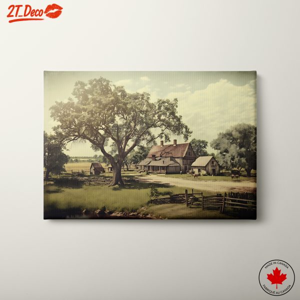 Rural Farmhouse Surrounded by Nature