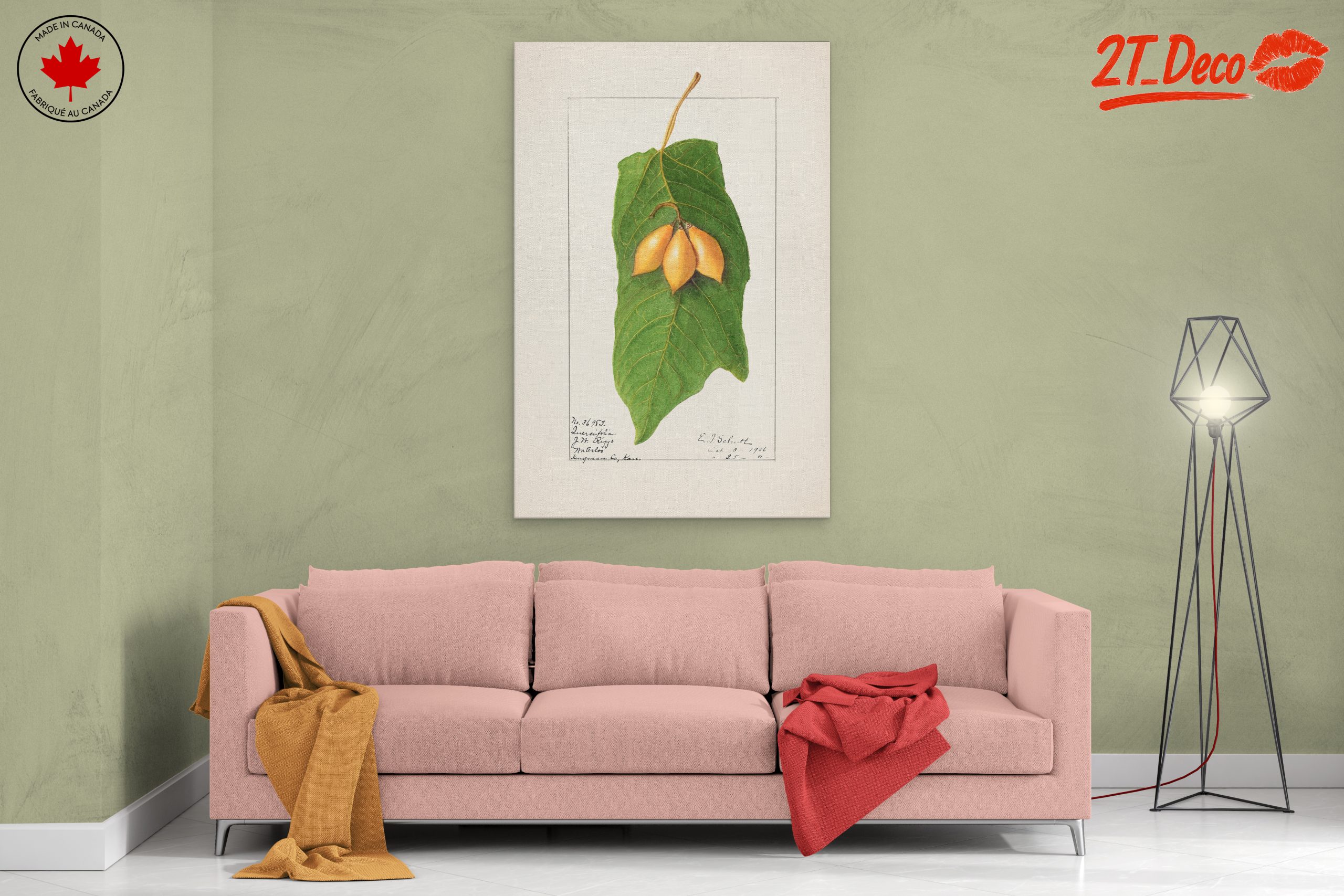Detailed Botanical Illustration of A Leaf and Fruit - Image 2