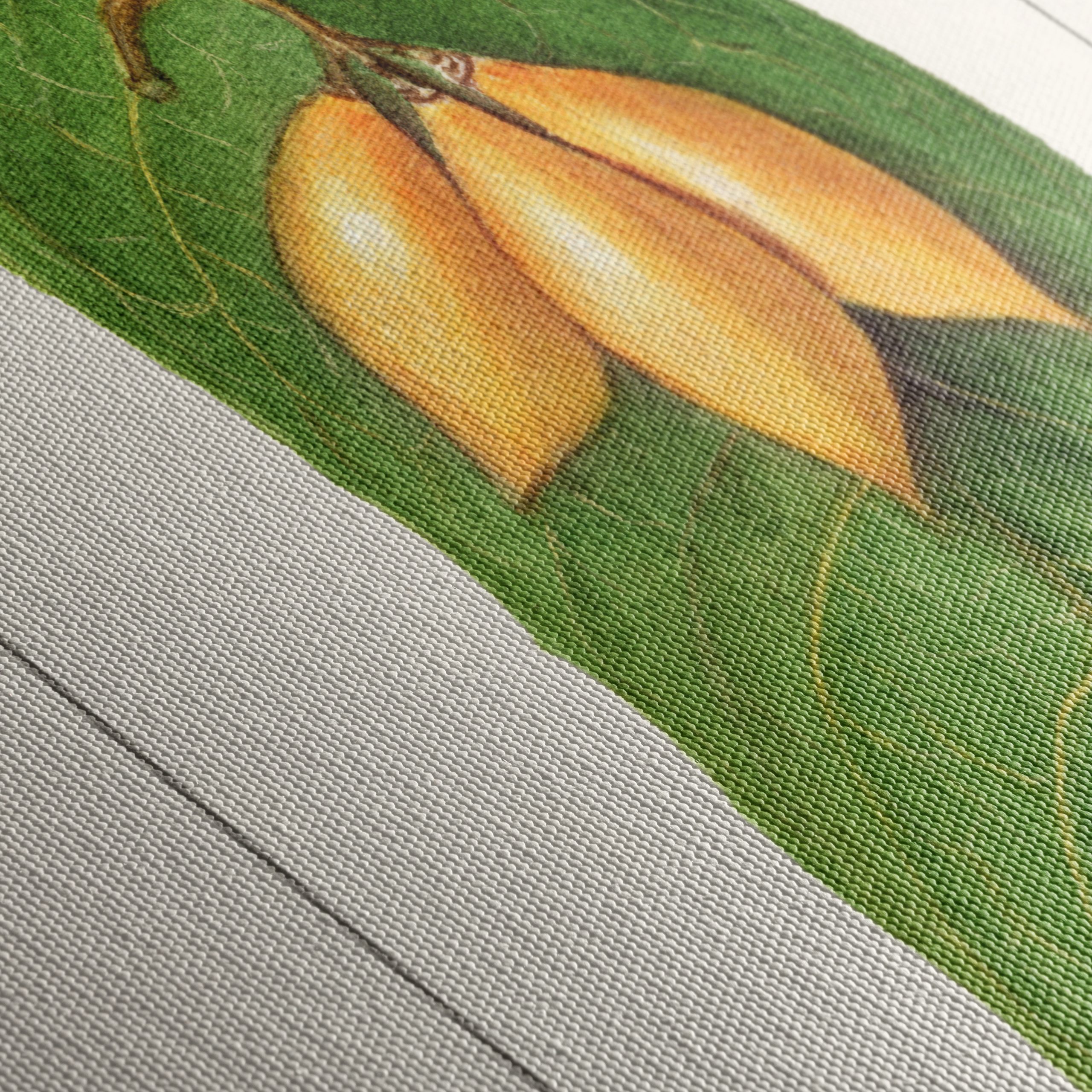 Detailed Botanical Illustration of A Leaf and Fruit - Image 5