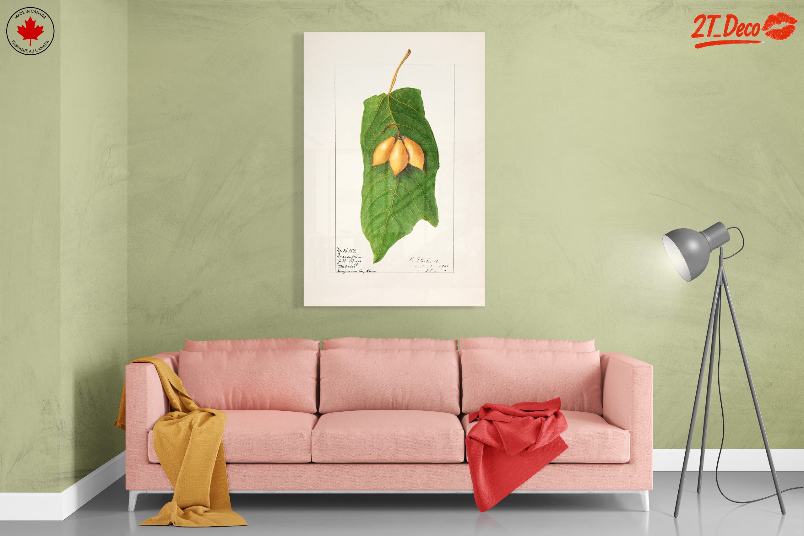 Detailed Botanical Illustration of A Leaf and Fruit - Image 7