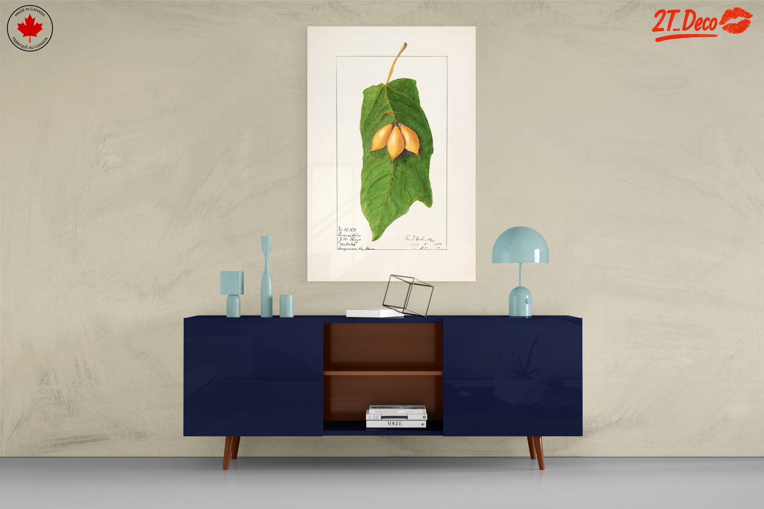 Detailed Botanical Illustration of A Leaf and Fruit - Image 8