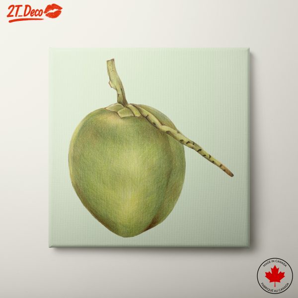Stylized Abstract Fruit Illustration 2