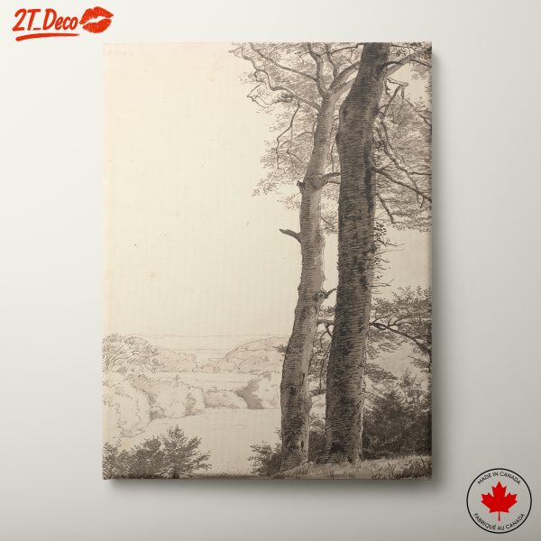 Serene Landscape with Trees