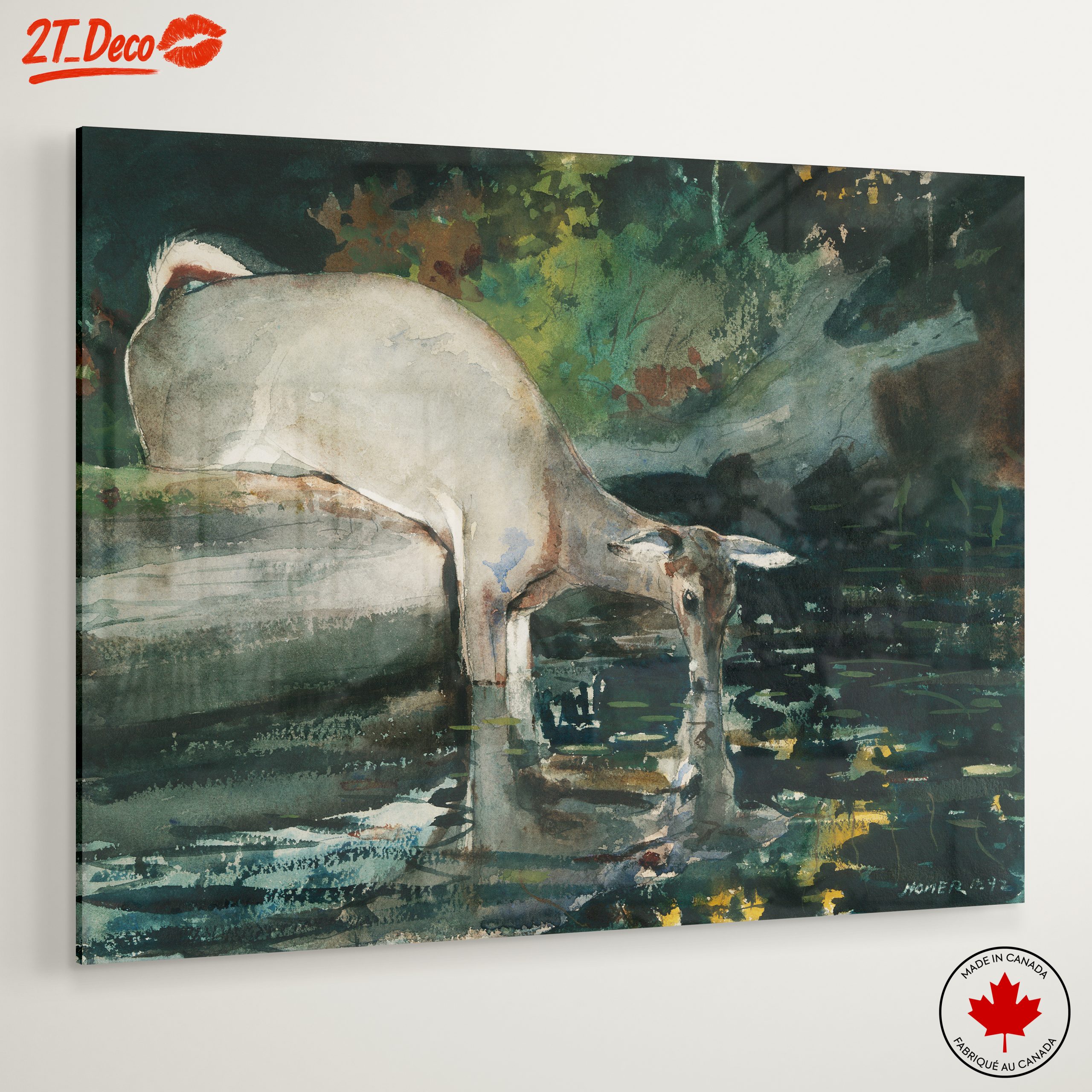 Deer at Water in Natural Landscape - Image 6