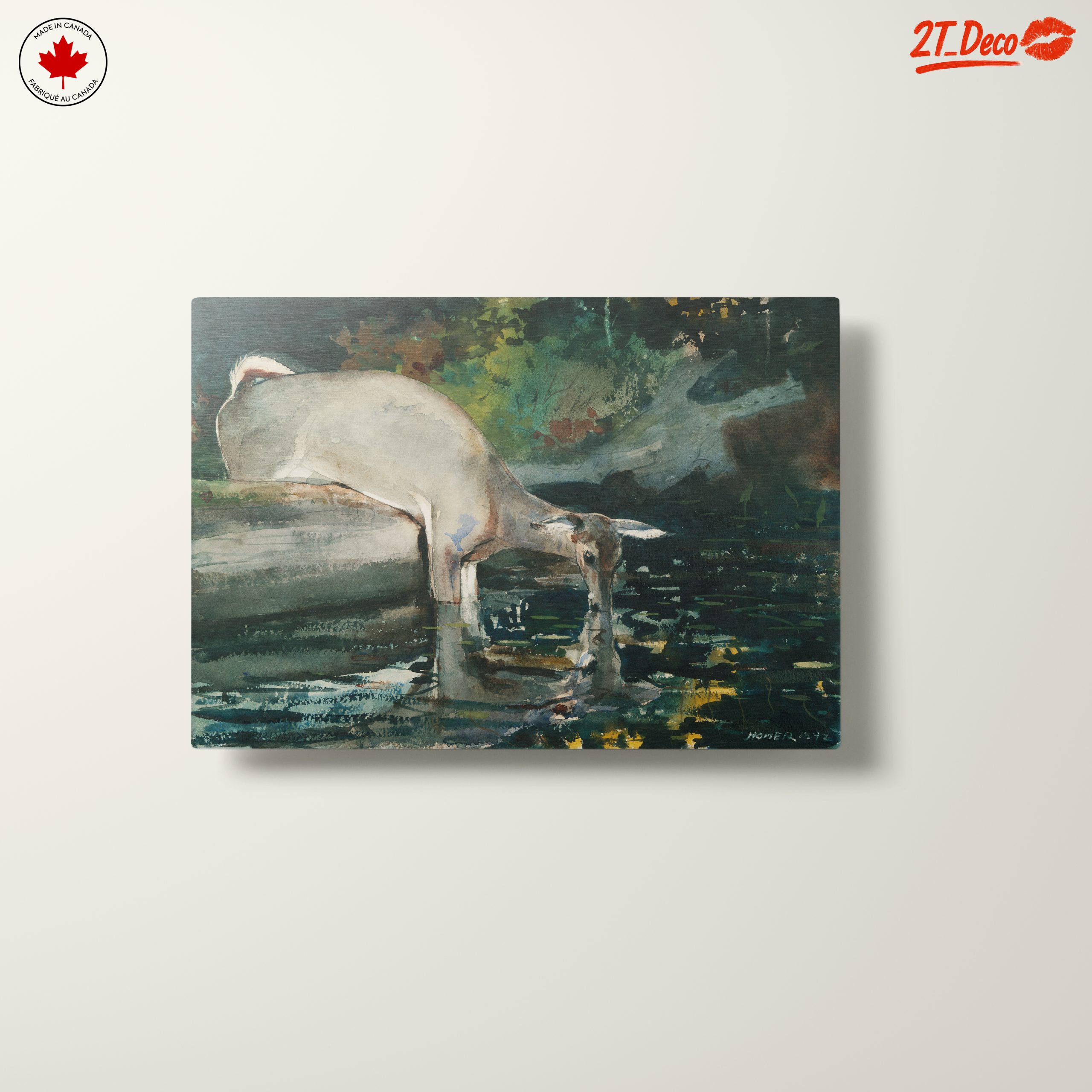 Deer at Water in Natural Landscape - Image 10