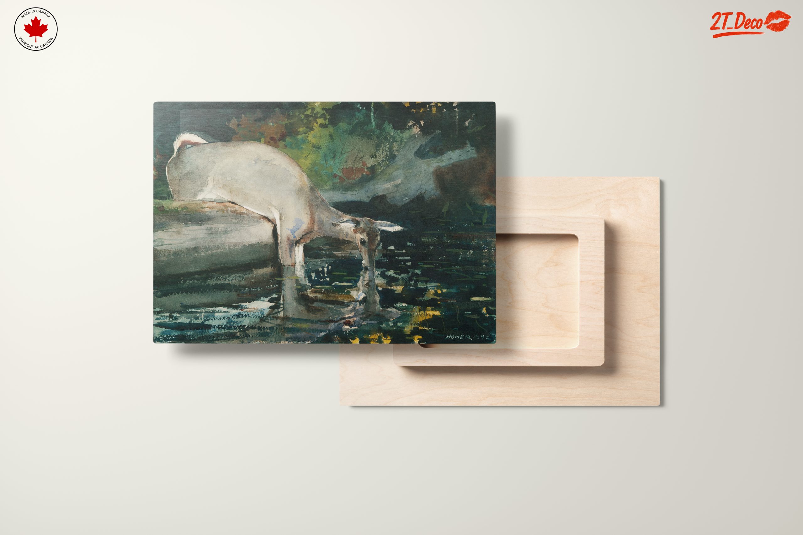 Deer at Water in Natural Landscape - Image 11