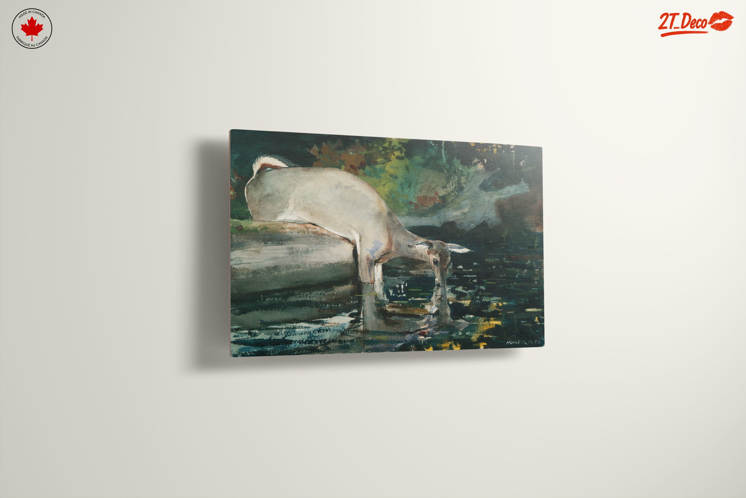 Deer at Water in Natural Landscape - Image 13