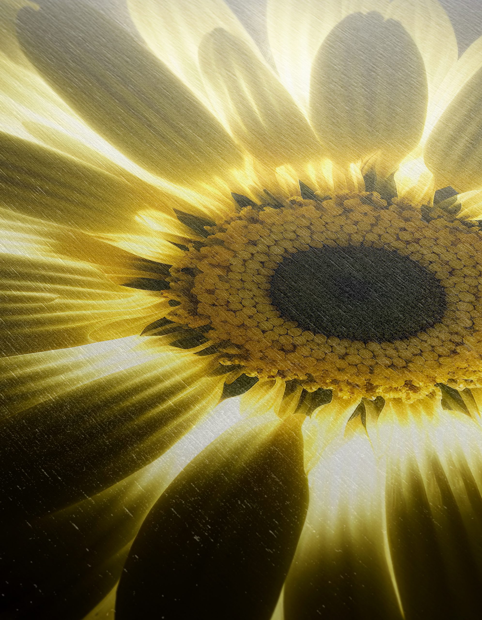 Radiant Floral Artwork of a Bright Flower - Image 12