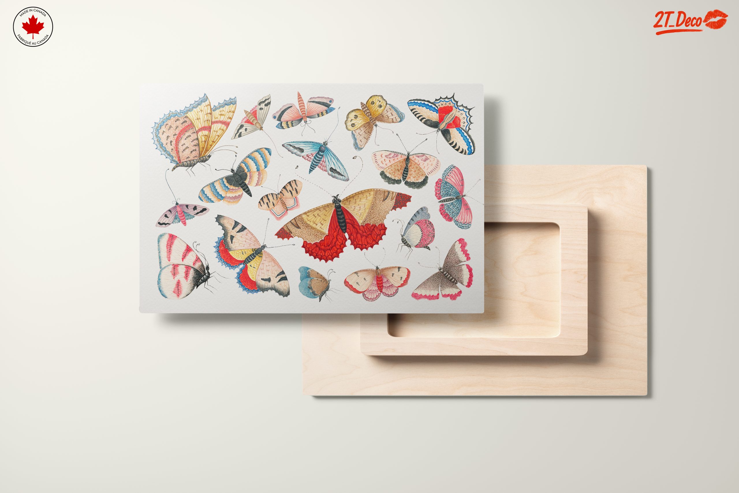 Colorful Butterflies Watercolor Art - Image 11