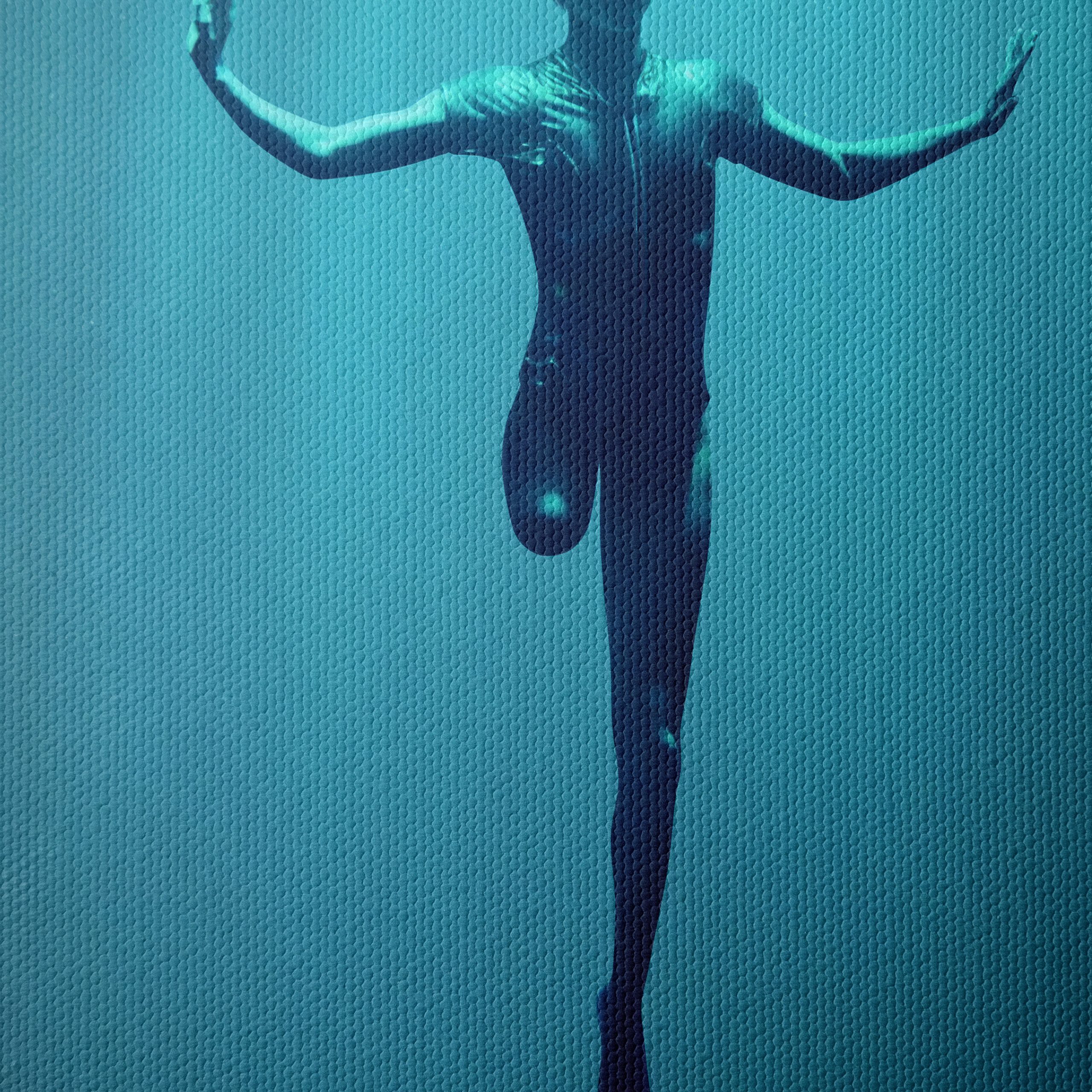 Rising Phoenix Underwater Art - Image 4